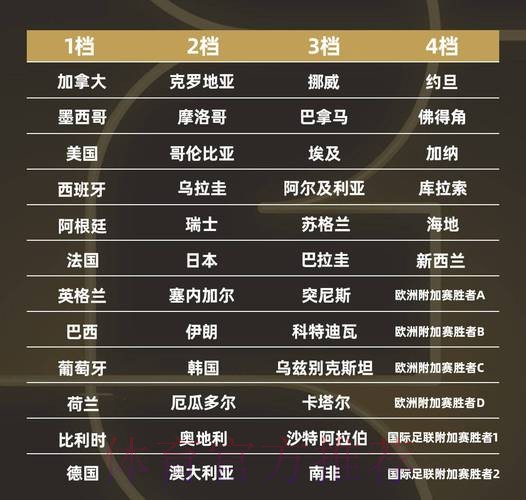 世界杯排名准不准